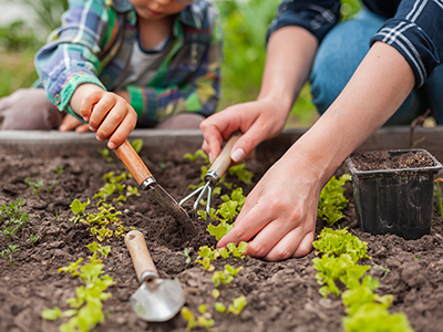 0226-keep-your-kids-engaged-with-a-new-summer-hobby-gardening-body